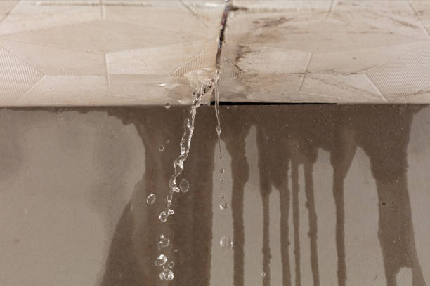 Professional Water Damage Repair technician working in Stem, NC